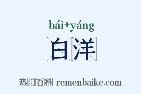 白洋是什么意思的图片